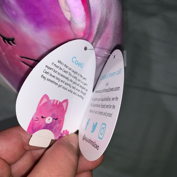 Squishmallows Kelly Toys 8’ Caeli Cat Pink Pillow - Picture 6 of 8